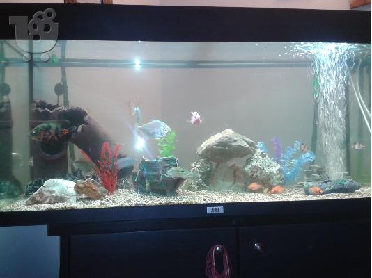 πωλείται ενυδρείο JEWEL 200L